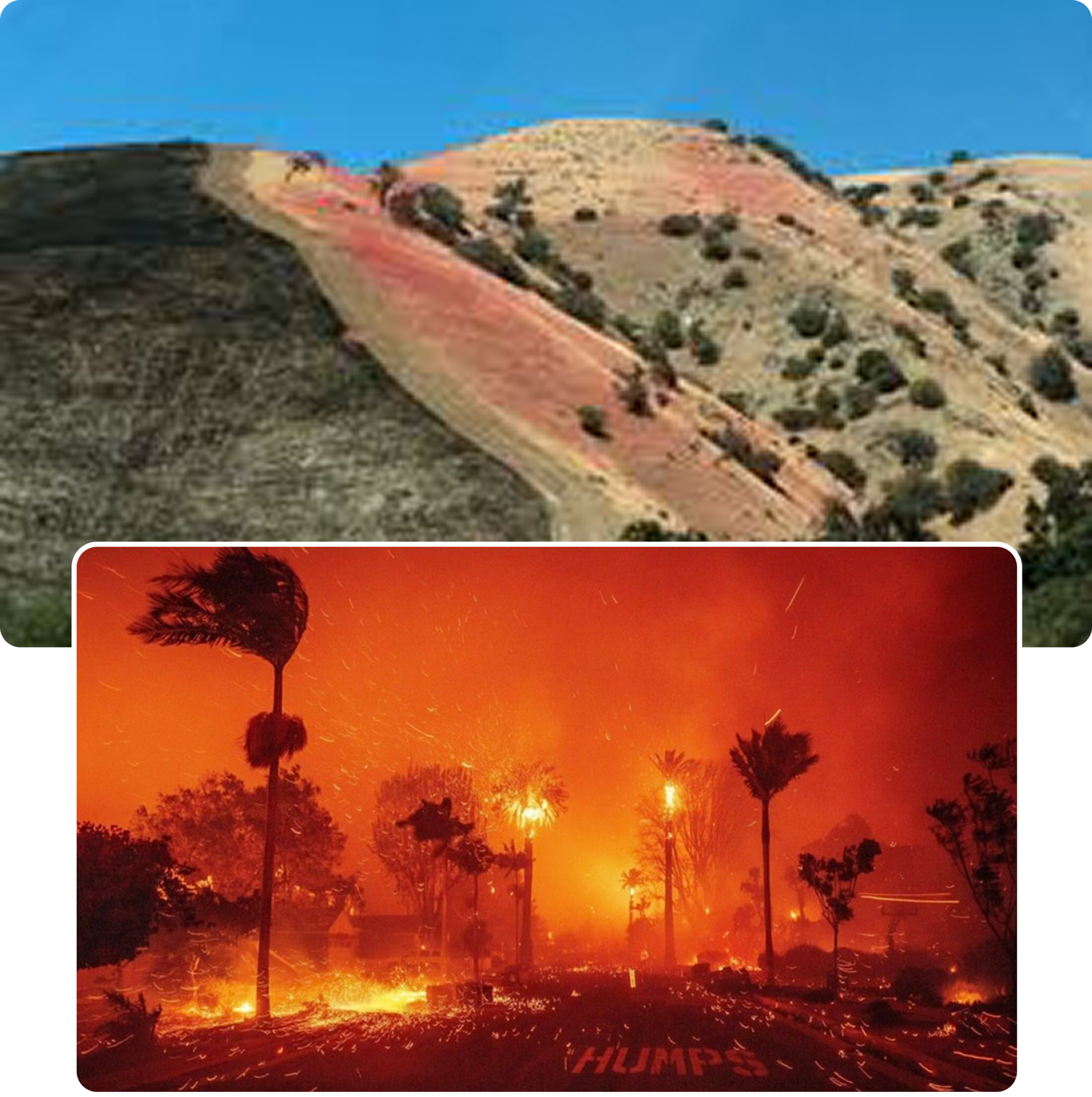 Group 15 A fire burning in the hills next to palm trees.